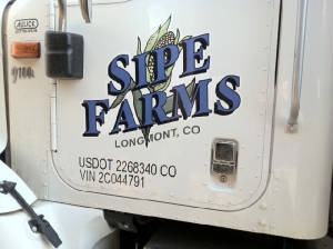vehicle lettering and vehicle graphics